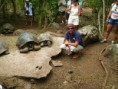 /album/fotogaleria/tortuga-daniel-jpg/